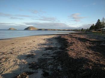 Wintergarden Beach Cabin Victor Harbor מראה חיצוני תמונה